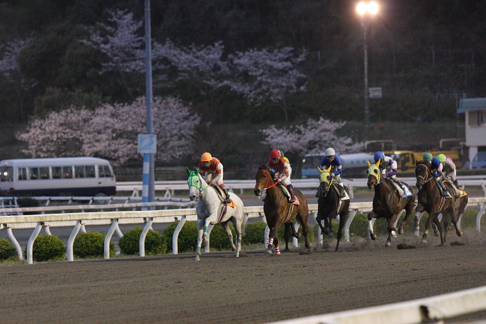 2010年4月4日（日） 高知競馬 6R C3-7_a0077663_8122536.jpg