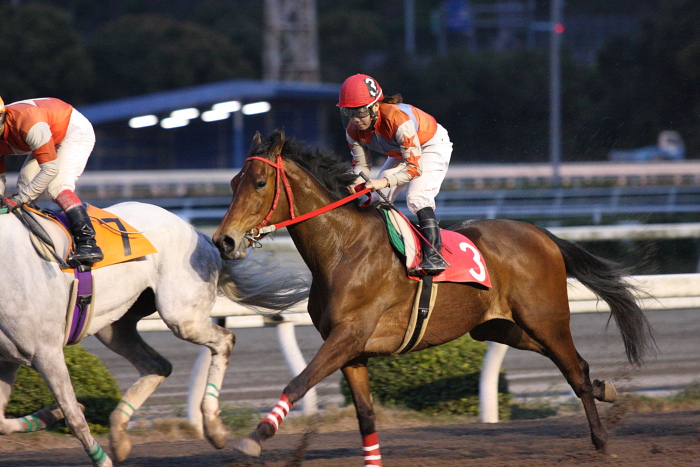 2010年4月4日（日） 高知競馬 6R C3-7_a0077663_8123494.jpg