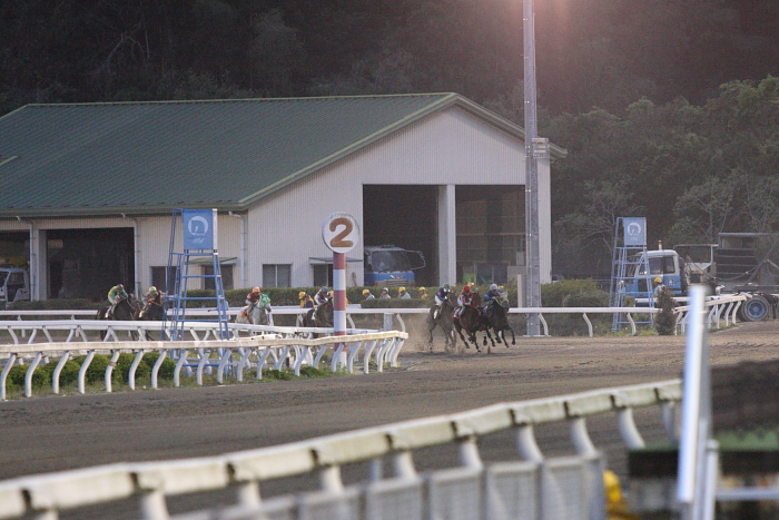 2010年4月4日（日） 高知競馬 6R C3-7_a0077663_8124238.jpg