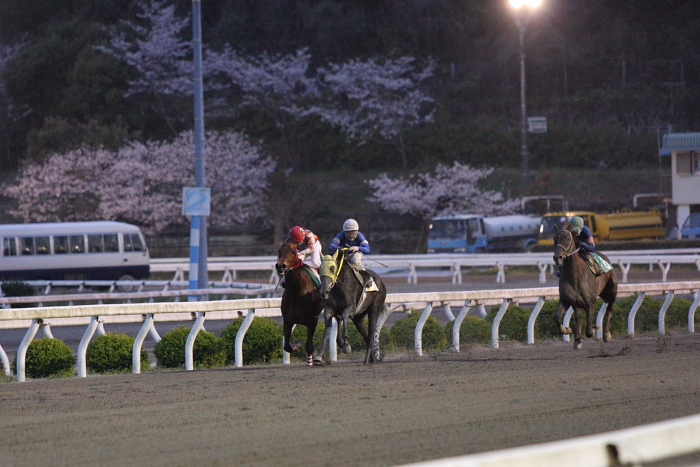 2010年4月4日（日） 高知競馬 6R C3-7_a0077663_8125017.jpg
