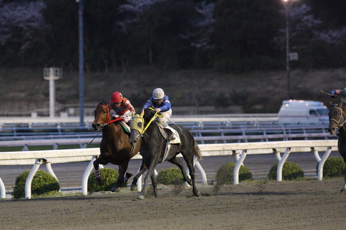2010年4月4日（日） 高知競馬 6R C3-7_a0077663_8125926.jpg