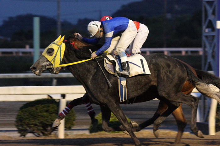 2010年4月4日（日） 高知競馬 6R C3-7_a0077663_8131513.jpg