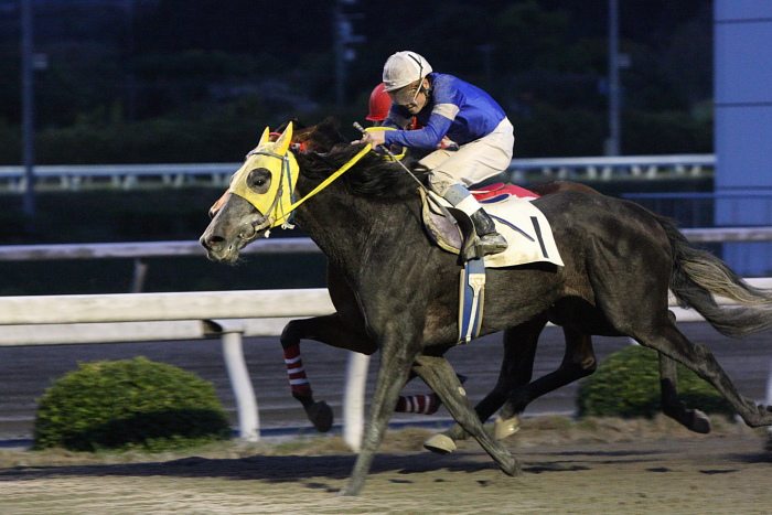 2010年4月4日(日) 高知競馬 6R C3-7_a0077663_813781.jpg