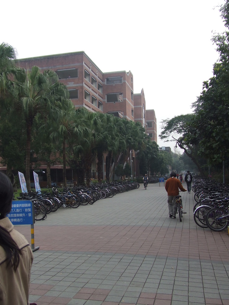 授業開始_b0183063_81512.jpg