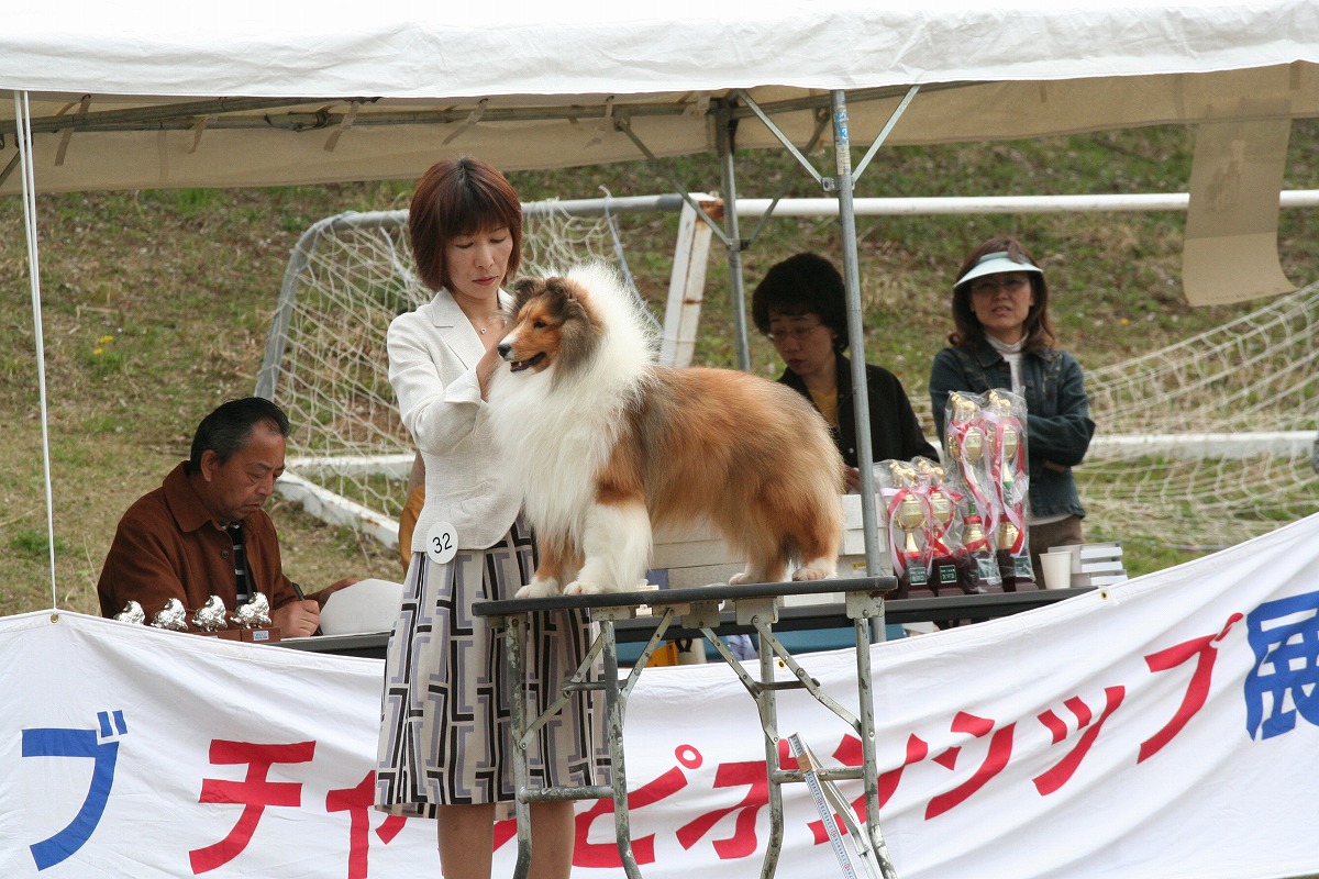 4.11JCC神奈川展_a0139367_22304249.jpg