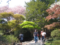 hanami_c0176870_2341883.jpg