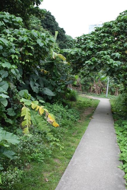 香港トラピスト修道院_c0135971_21285635.jpg