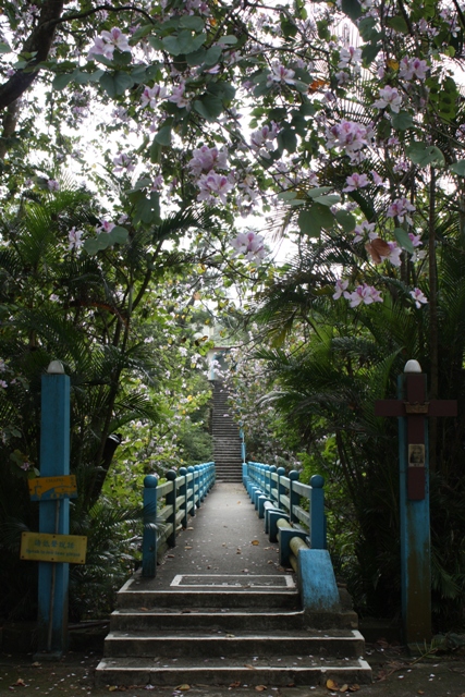 香港トラピスト修道院_c0135971_21295353.jpg