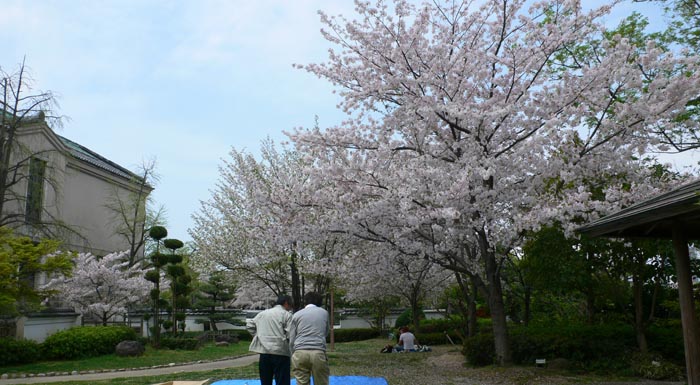 天王寺　茶臼山でラストお花見_f0012674_16174319.jpg