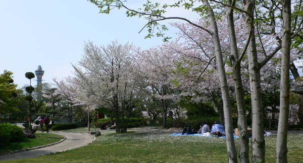 天王寺　茶臼山でラストお花見_f0012674_16313243.jpg