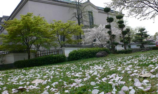 天王寺　茶臼山でラストお花見_f0012674_16315382.jpg