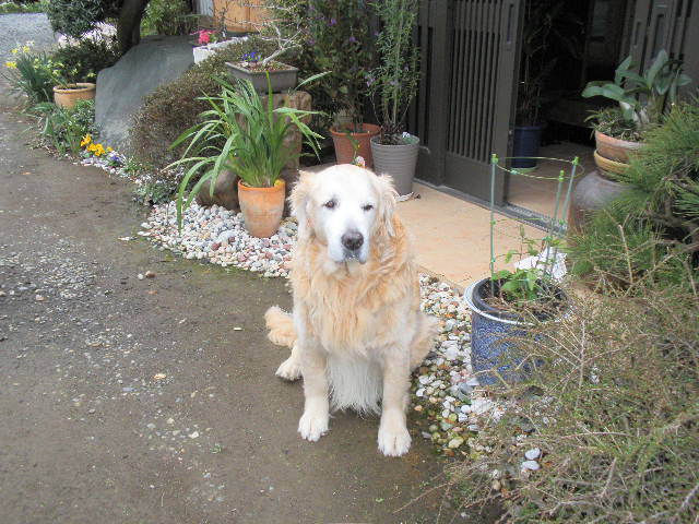 b0157276_12365937.jpg