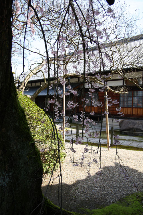 c0054876_1739841.jpg