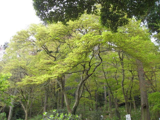 昨日はつかれたぁ。でも写真撮ってきました。_c0209377_1274119.jpg