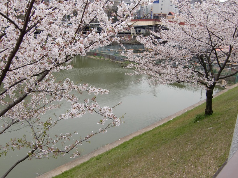 b0138581_16155888.jpg