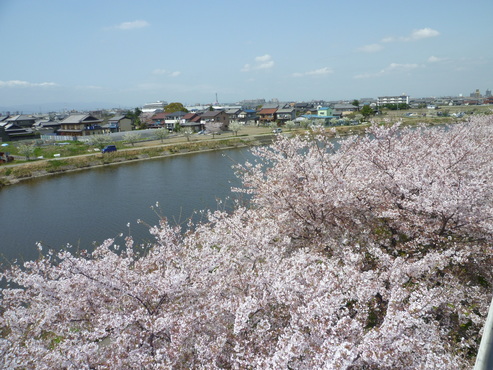 お花見・とだがわこどもランド♪_f0191381_1418767.jpg