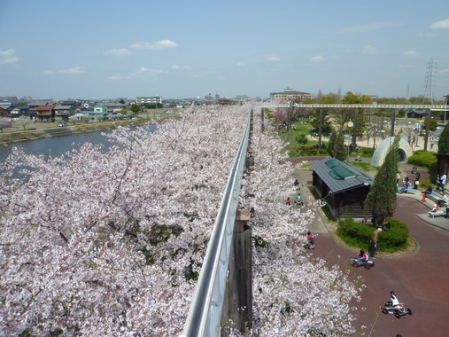 お花見・とだがわこどもランド♪_f0191381_142218.jpg