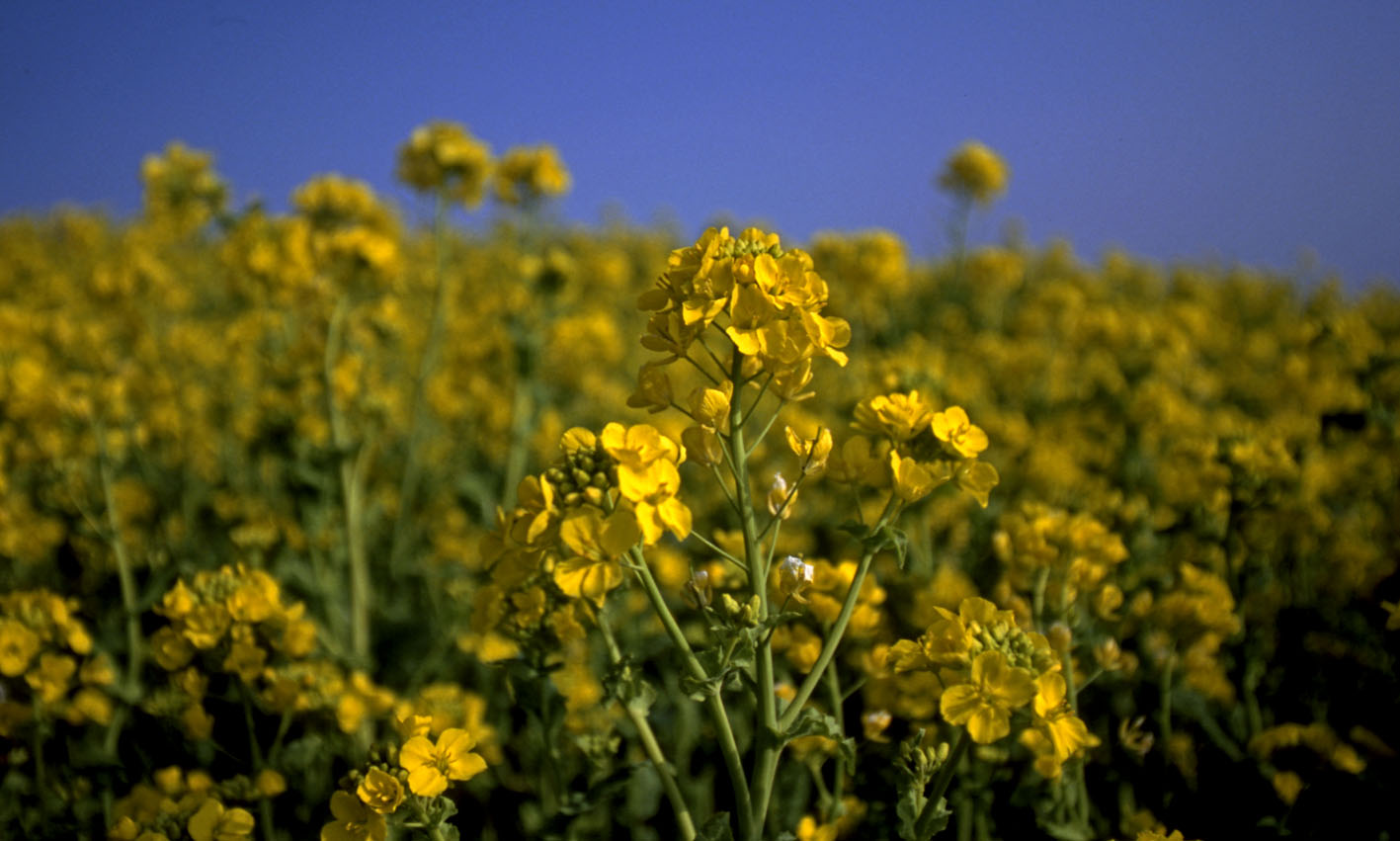 タムロンSP AF17-35mm F/2.8-4 _a0110584_2259328.jpg