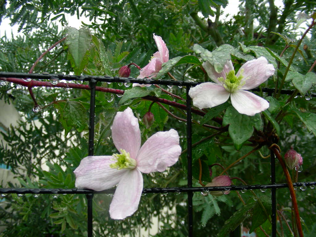 b0096584_22514757.jpg
