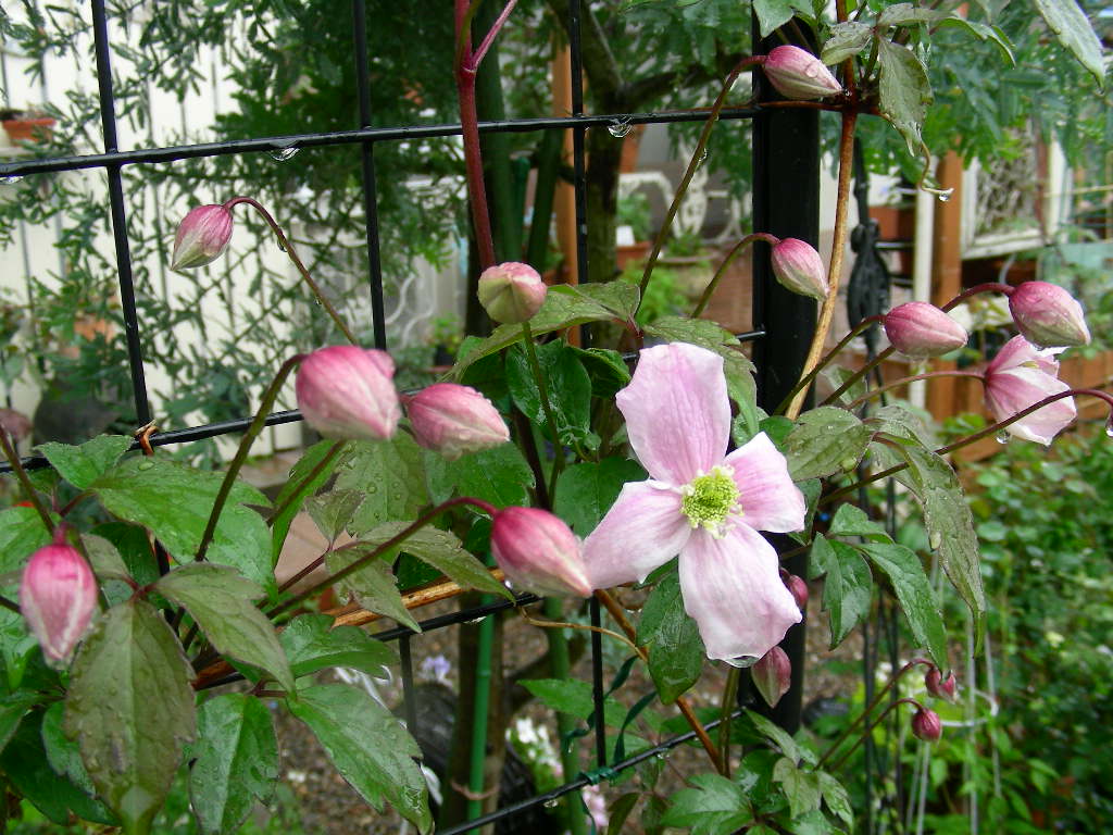 b0096584_22545558.jpg