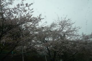 簡単イメチェン_b0098584_1945325.jpg