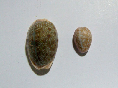 e0028387_129669.jpg