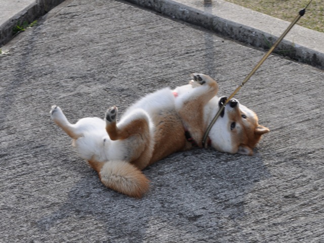 この風景を胸に焼き付けて_a0126590_22534110.jpg