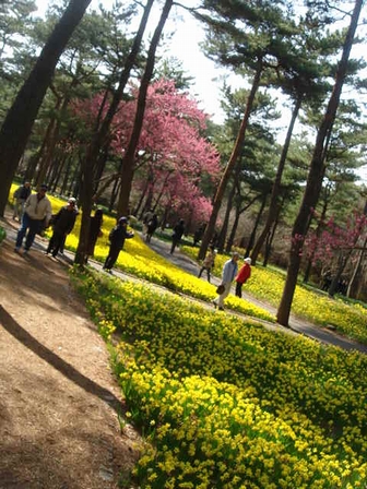 d0125890_20232594.jpg