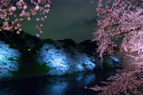 c0082191_22123752.jpg