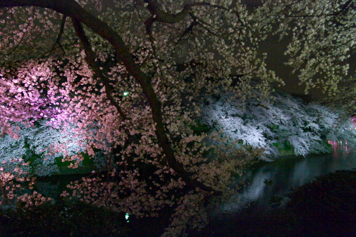 c0082191_22184993.jpg