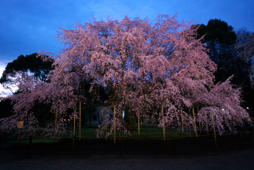 c0082191_2242724.jpg