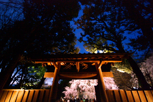 c0082191_2281460.jpg