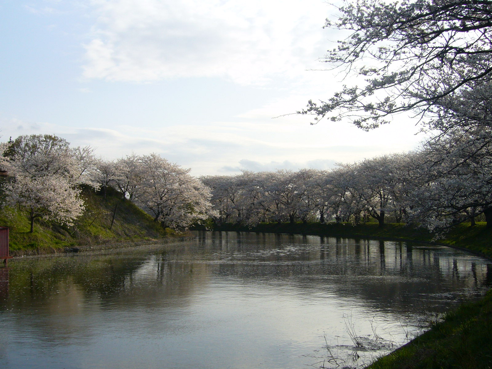 花見③♪_d0091994_21103353.jpg