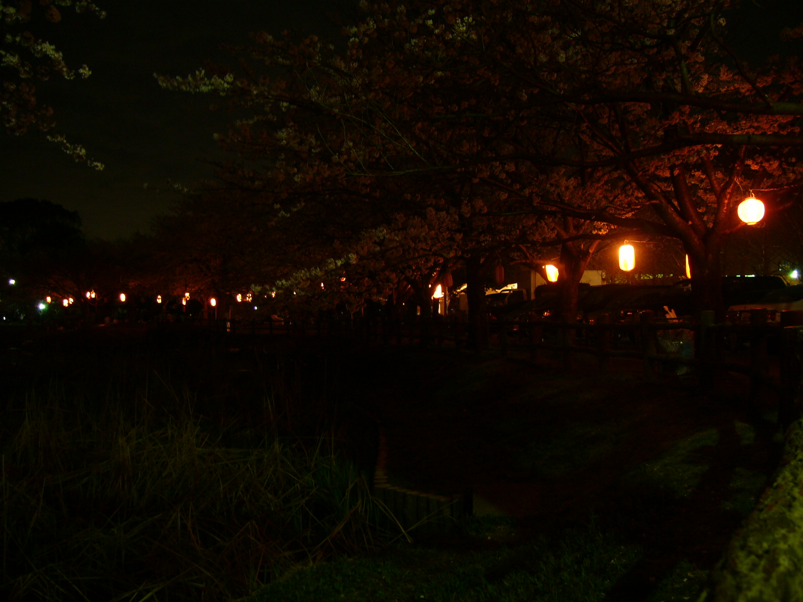 花見③♪_d0091994_21121576.jpg