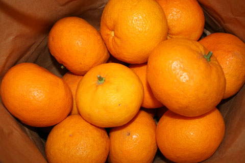e0153994_1781046.jpg