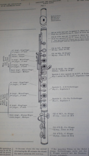 f0166694_22184249.jpg
