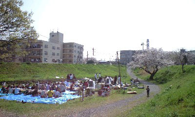 f0056695_1437491.jpg