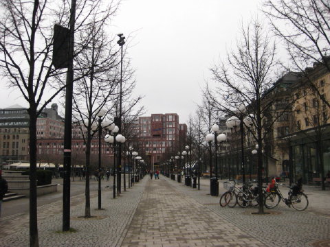 c0180096_456117.jpg