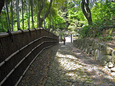 浜松城公園の緑_b0138997_7403352.jpg