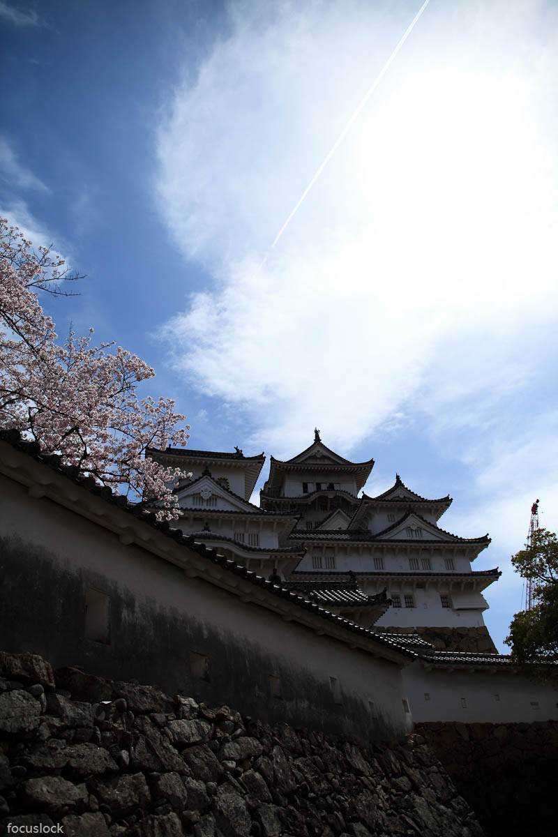 姫路城の桜　3_f0220502_2161236.jpg