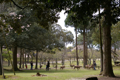 a0162603_12452291.jpg