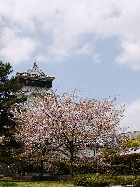お花見散歩♪_c0198903_21341268.jpg