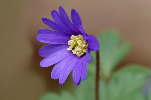 e0039703_2151745.jpg