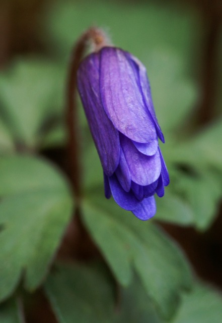 e0039703_21522917.jpg