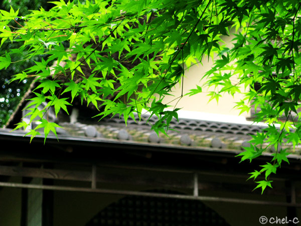 a0154706_2262028.jpg