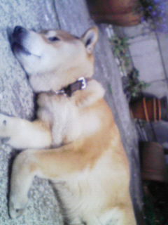 c0066906_0201117.jpg