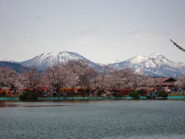 a0141408_22262065.jpg