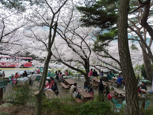 b0052108_0244879.jpg