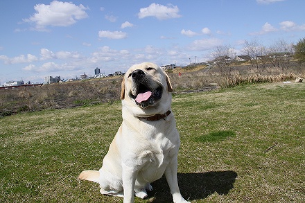 f0191413_1050575.jpg
