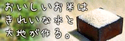 真倉農園レーベル。_e0115516_10271958.gif